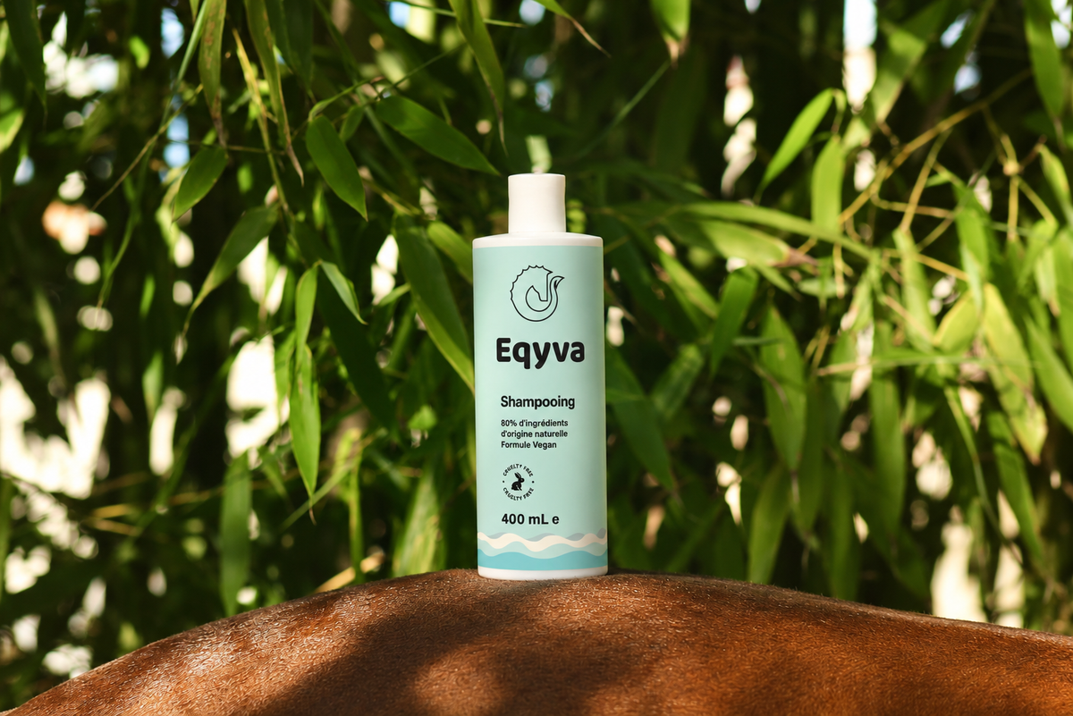 Shampoing Naturel pour Chevaux